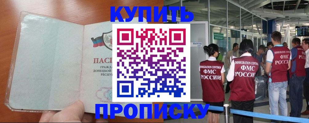 регистрация в Камчатской области